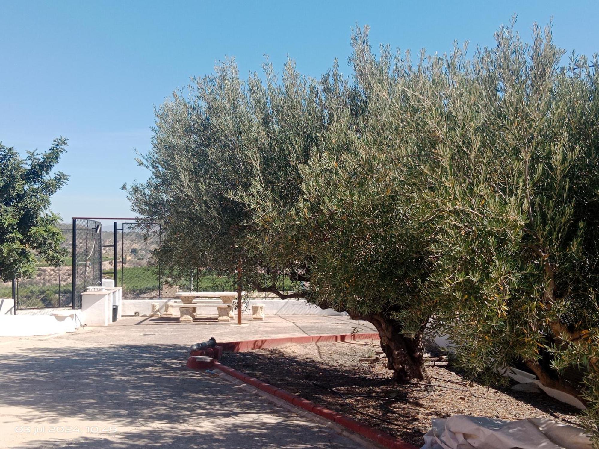 Casa Las Moscas Μούρθια Εξωτερικό φωτογραφία